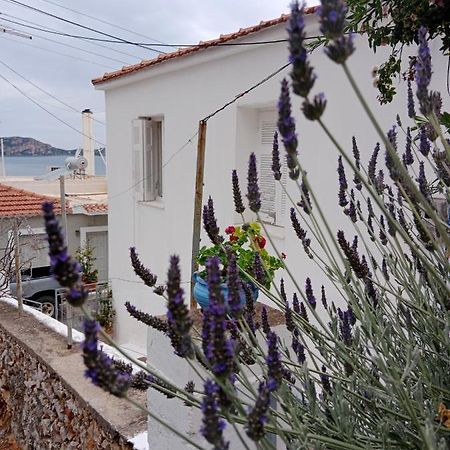 George Traditional House Appartement Pylos Buitenkant foto