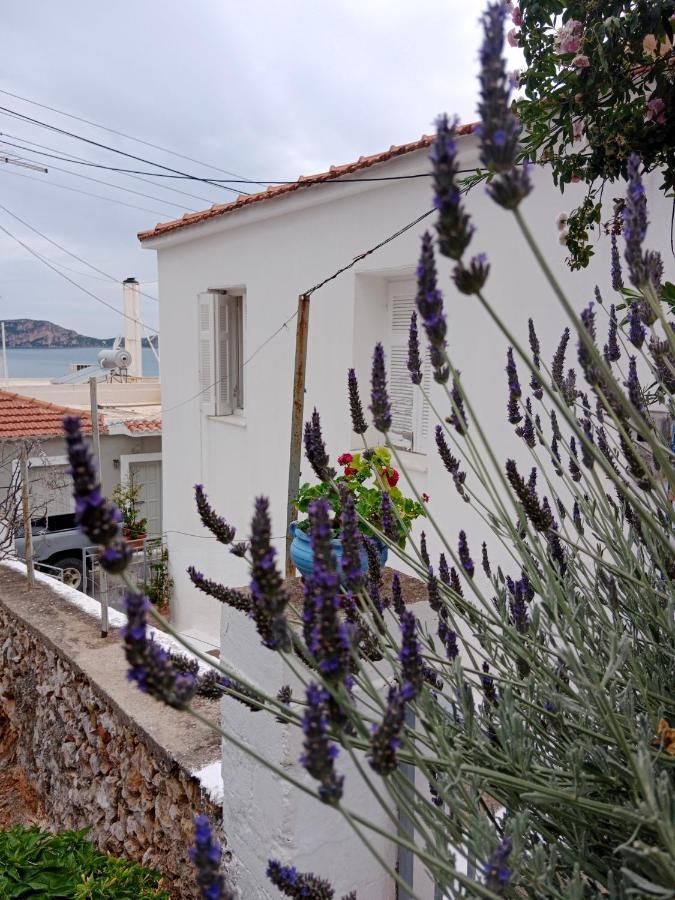 George Traditional House Appartement Pylos Buitenkant foto